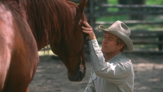 The Horse Whisperer
