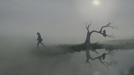 "Wuthering Heights"