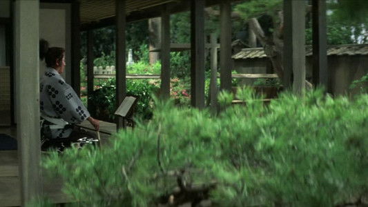 The Shogun Assassins