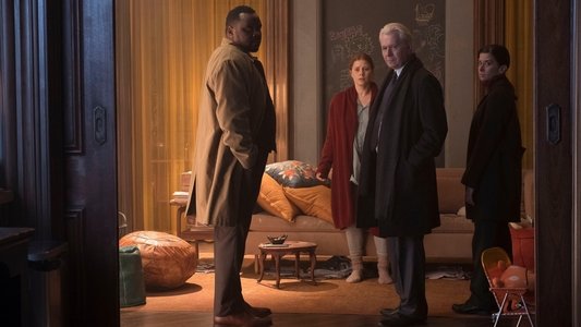 The Woman in the Window