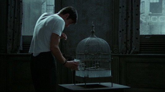 Le Samouraï