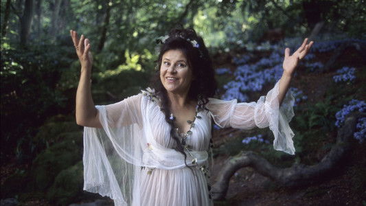 I Could Never Be Your Woman