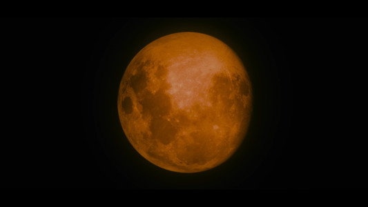 The Twilight Saga: New Moon