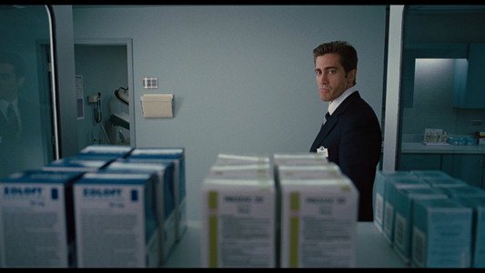 Love & Other Drugs