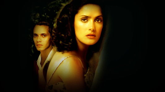 In the Time of the Butterflies