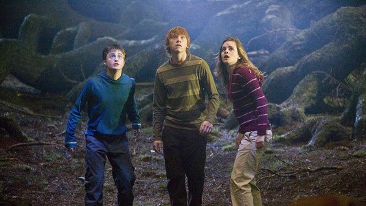 Harry Potter and the Order of the Phoenix
