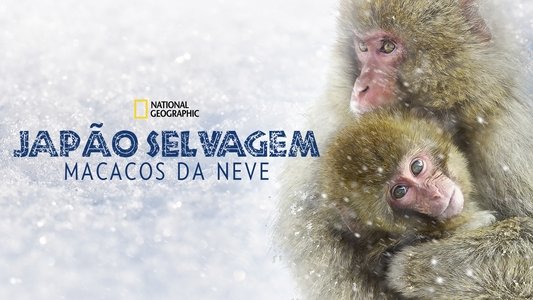 Wild Japan: Snow Monkeys