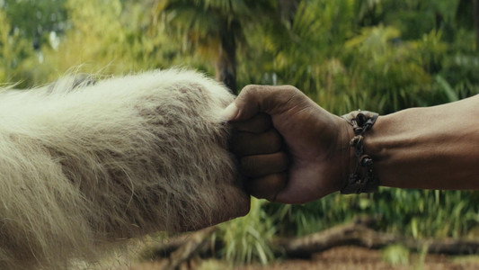 Rampage