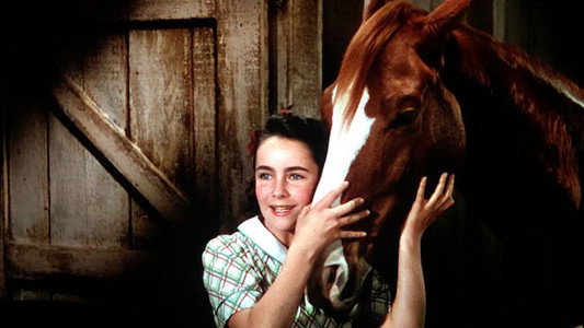 National Velvet