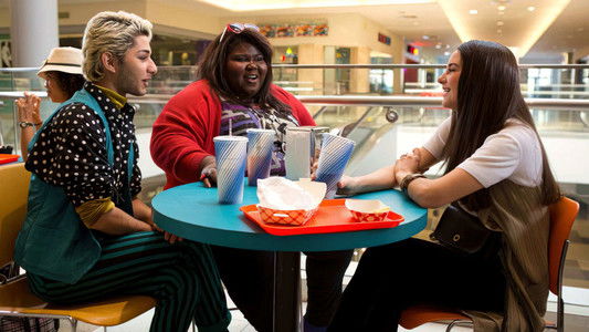 White Bird in a Blizzard