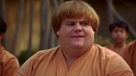 Beverly Hills Ninja