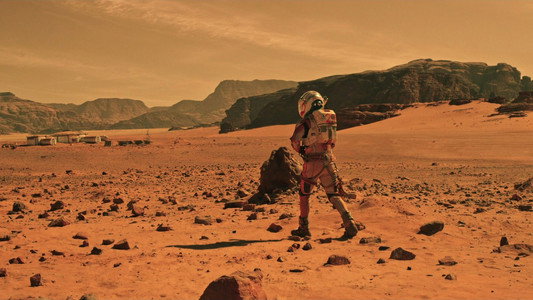 The Martian