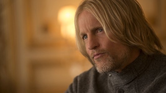 The Hunger Games: Mockingjay - Part 2