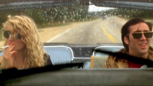 Wild at Heart