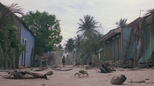 Zombie Flesh Eaters