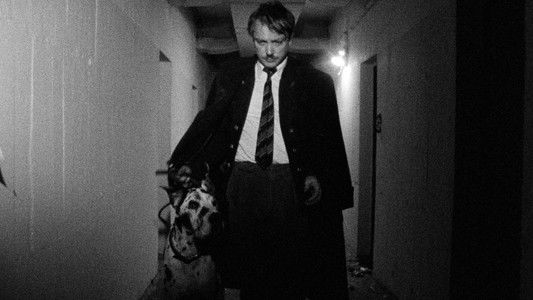 100 Years Of Adolf Hitler: The Last Hour In The Führerbunker