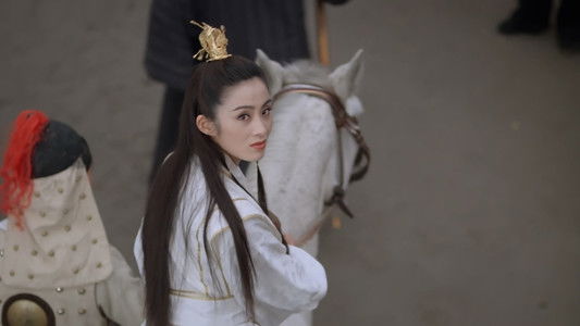 The Kung Fu Cult Master