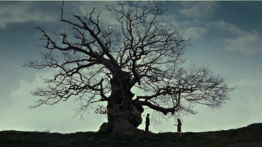 Harry Potter and the Deathly Hallows: Part 2