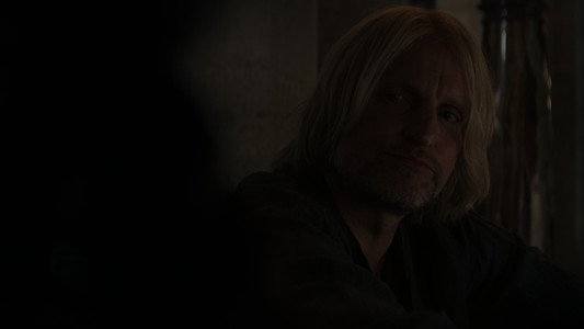 The Hunger Games: Mockingjay - Part 2