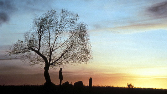Unforgiven