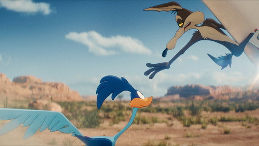Coyote vs. Acme