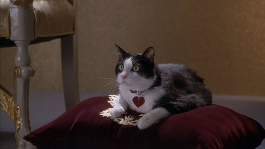 The Princess Diaries 2: Royal Engagement