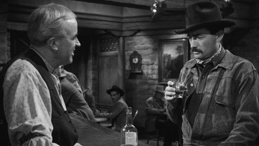 The Gunfighter