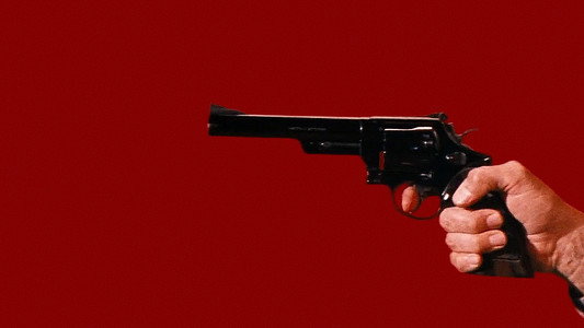 Magnum Force