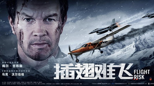 Flight Risk
