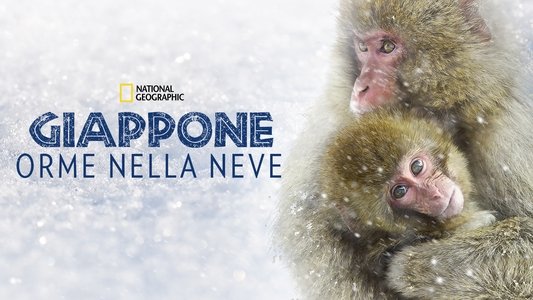 Wild Japan: Snow Monkeys