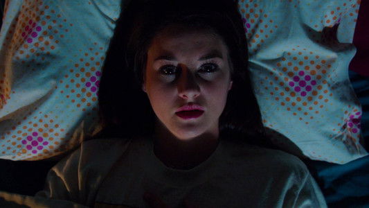 White Bird in a Blizzard