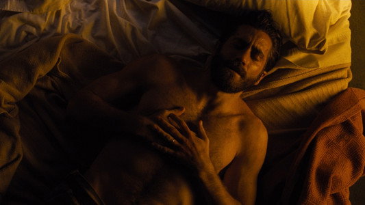 Nocturnal Animals