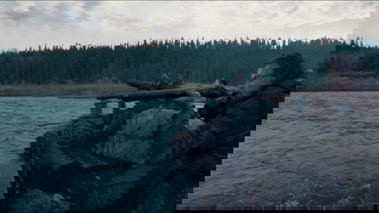 The Revenant