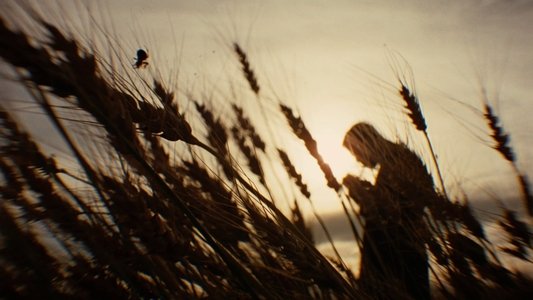 The Assassination of Jesse James by the Coward Robert Ford