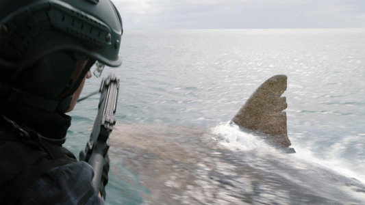The Meg