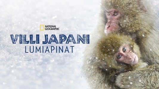 Wild Japan: Snow Monkeys