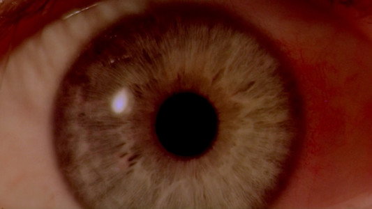 2001: A Space Odyssey