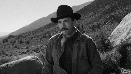 The Gunfighter