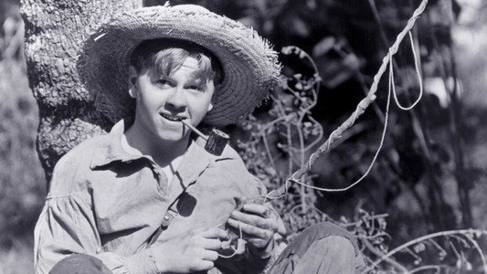The Adventures of Huckleberry Finn