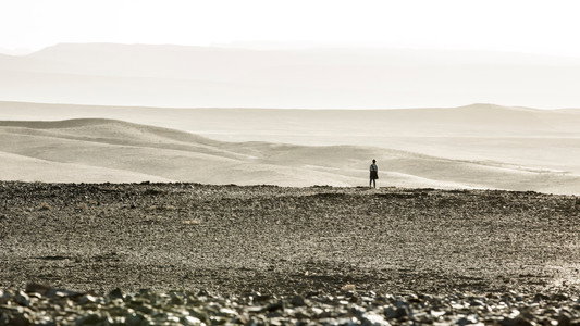 The Dark Tower