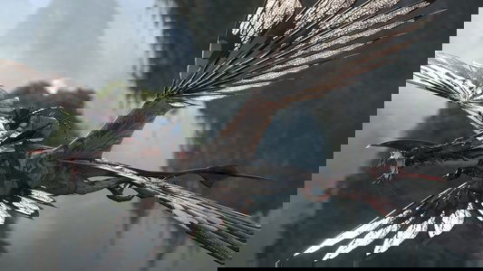 Avatar: Fire and Ash