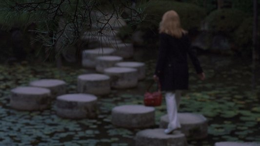 Lost in Translation