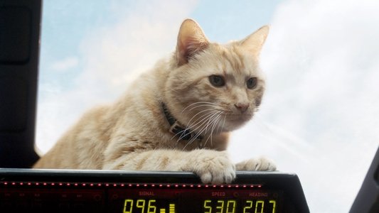 Captain Marvel