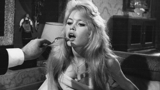 Love Is My Profession