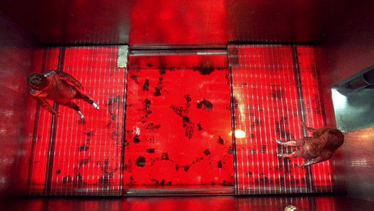 Austin Powers: The Spy Who Shagged Me