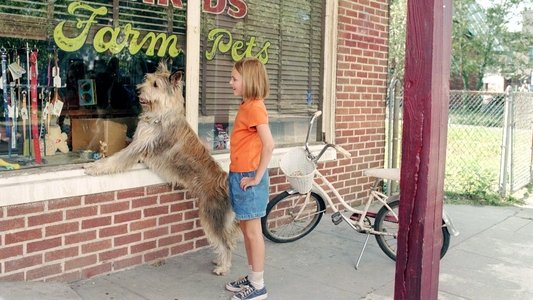 Because of Winn-Dixie