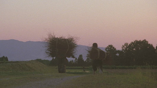 The Twilight Samurai