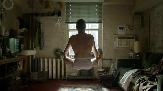 Birdman or (The Unexpected Virtue of Ignorance)