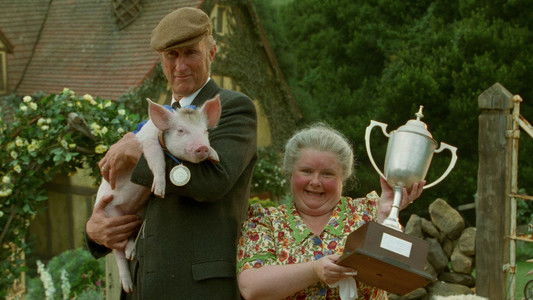 Babe: Pig in the City