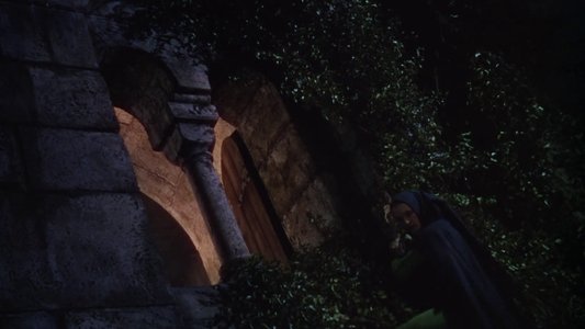 The Adventures of Robin Hood